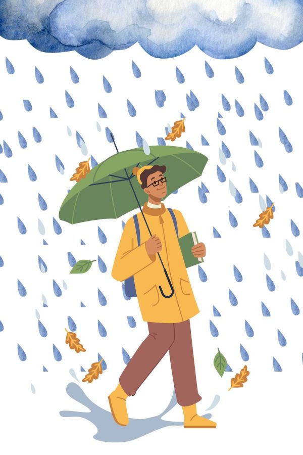 Amazon Monsoon Essentials: For a Perfect Rainy Season