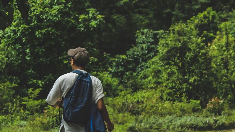 Exploring the Best Treks Near Mumbai and Pune