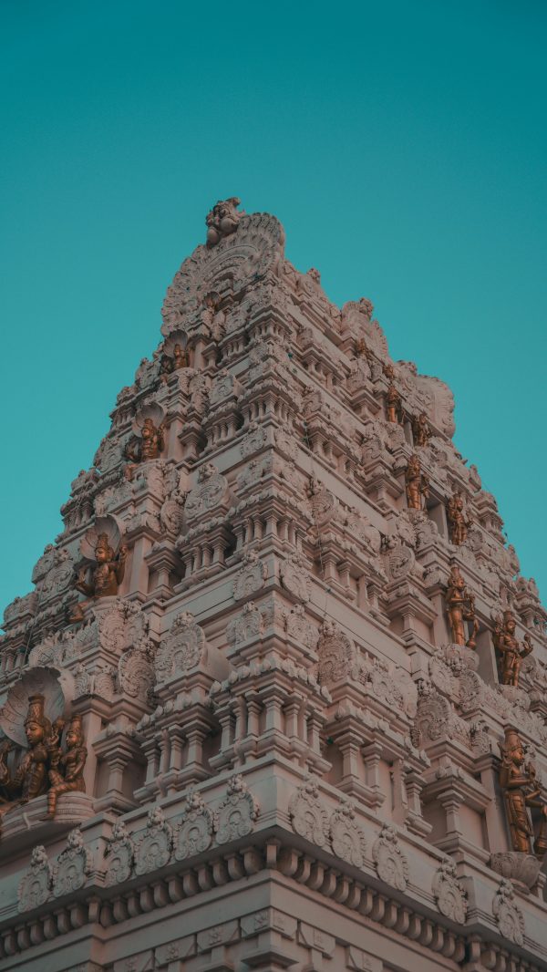 36 Basic Telugu Words To Know In English&nbsp;&nbsp;&nbsp;&nbsp;